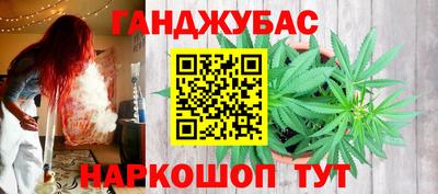 прущие крисы Кингисепп