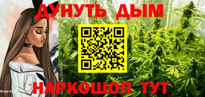 прущие крисы Кингисепп