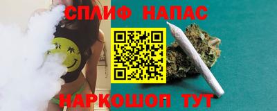 прущие крисы Кингисепп