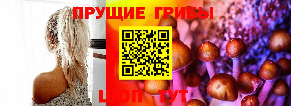 Красноярск  Псилоцибиновые грибы мицелий  Вход с VPN  Галлюциногенные грибы прущие грибы 